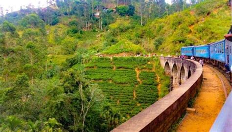 Unbelievable Nine Arch Bridge in Sri Lanka - wowtovisit