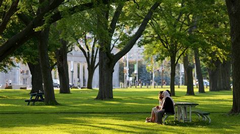 Visit Harbourfront: 2024 Harbourfront, Toronto Travel Guide | Expedia