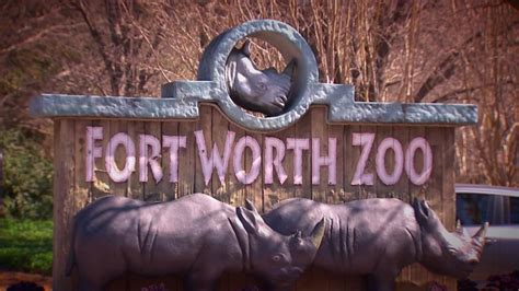 Fort Worth Zoo Prepares to Welcome Back Visitors – NBC 5 Dallas-Fort Worth