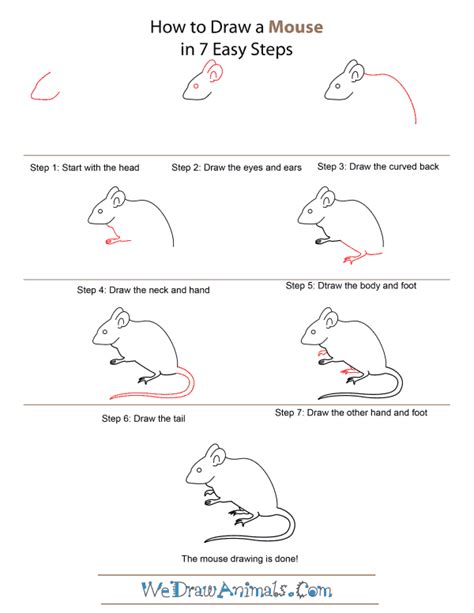 How To Draw A Mouse