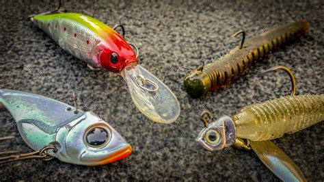 Top 5 Baits To Catch Tough Winter Bass — Tactical Bassin' - Bass ...