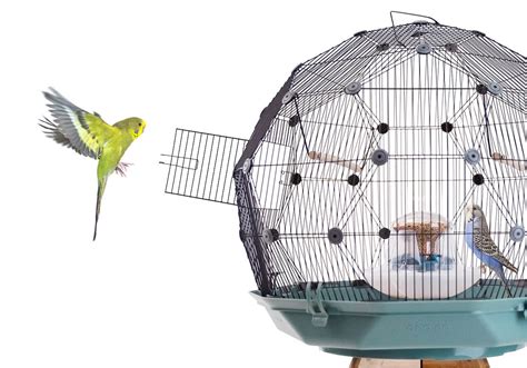 Pet Birds Cages