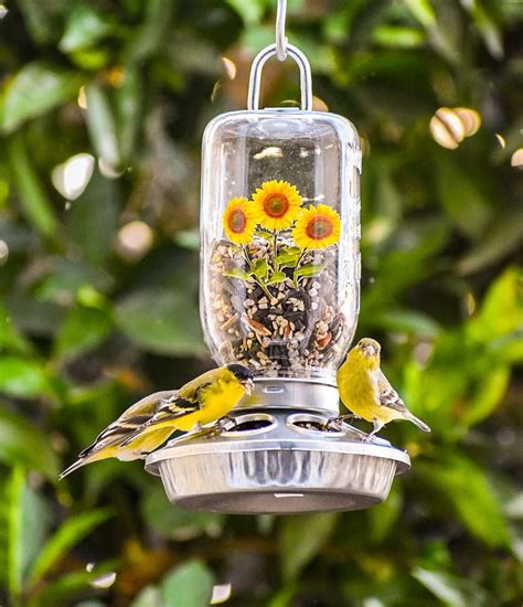 18 Best Unique Bird Feeders and Houses for 2021