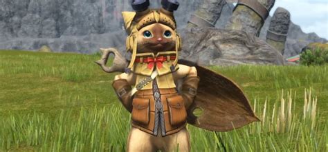 Top 20 Best & Coolest Minions in FFXIV (Ranked) – FandomSpot