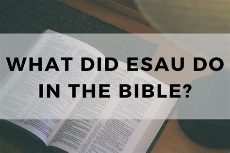 What Did Esau Do in the Bible? Why Was It Significant? - TRUST IN THE BIBLE