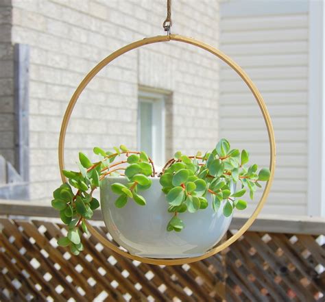 16 Unique Indoor and Outdoor Hanging Planter Ideas - Garden Lovers Club