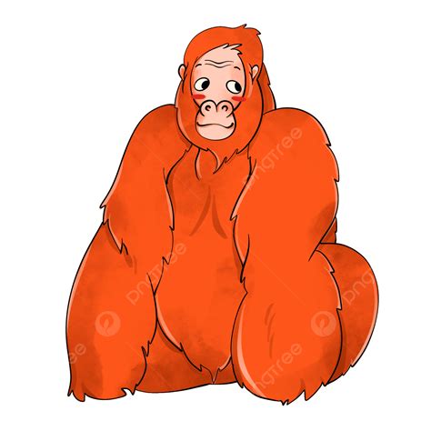 Orangutan PNG Picture, Cute Orangutan Clip Art, Orangutan Clipart ...