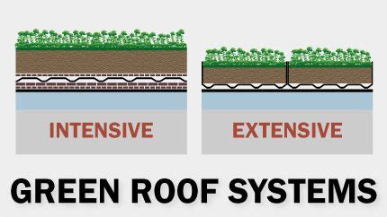 Green Roof Systems: Protecting Plants with Style