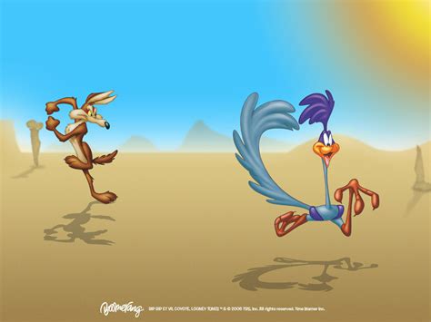 Road Runner & Wile E. Coyote - Looney Tunes Wallpaper (5226561) - Fanpop