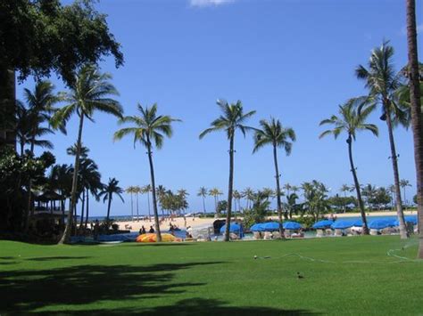 Waikiki Beach Activities Photo Gallery Lagoon, Beach, Pool, Beach Stand ...