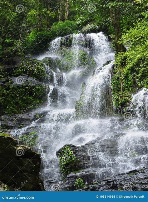 Waterfall in deep forest stock image. Image of extreme - 103614955