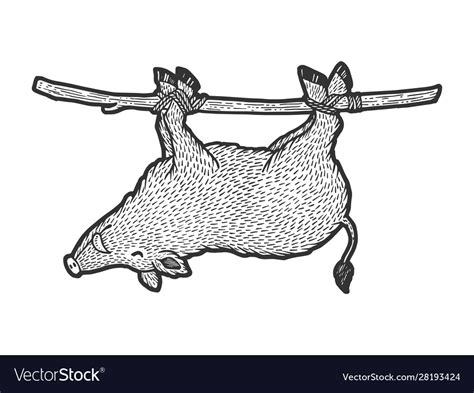 Carrying dead boar on hunt sketch engraving Vector Image