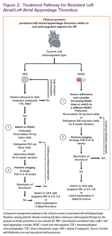 Treatment Pathway for Resistant Left Atrial/Left Atrial Appendage ...