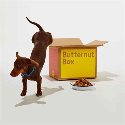 13 Best Dog Food Subscription Boxes of 2024 - Urban Tastebud