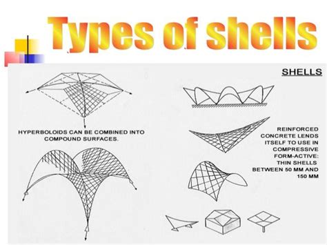 Related image | Shell structure, Types of shells, Shells