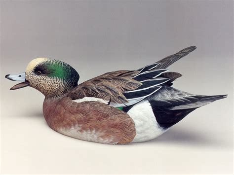 American Wigeon Drake - Godin Art