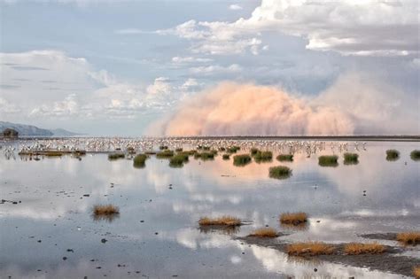 Lake Natron - 1 great spots for photography