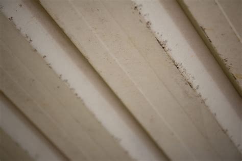 Free Image of Corrugated metal sheet | Freebie.Photography