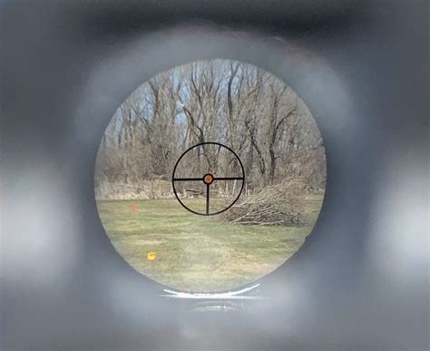 PS90 factory black ring sight : r/aimdownsights