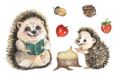 Hedgehog family watercolor clipart, cute little hedgehog clip art By Evgeniia Grebneva Painting ...