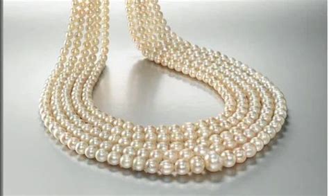 Vishrut Gems, Mumbai - Retailer of Saltwater Pearls and Metallic Luster Pearls