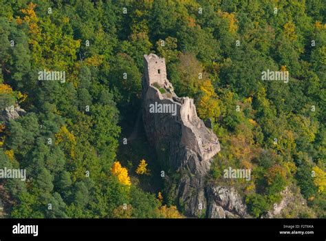 France, Haut Rhin (68), Ribeauville, castle of Haut-Ribeaupierre (aerial view) // Haut Rhin (68 ...