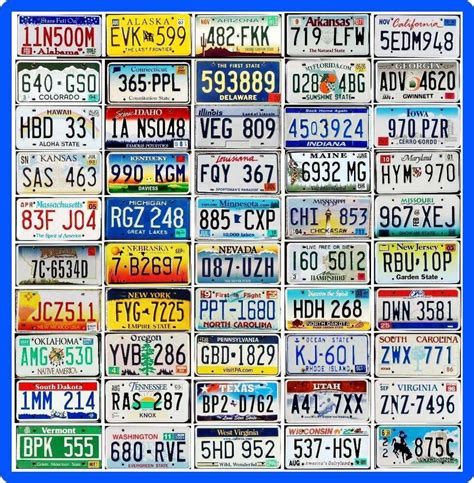 COMPLETE SET 50 UNITED STATES License Plates - ALL 50 USA States + BONUS Plate! | eBay