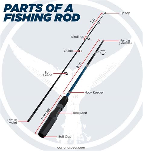 How to Hold a Fishing Rod (The Right Way) - Cast and Spear