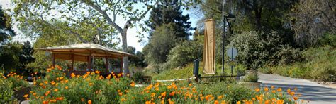 Botanic Garden - Discover Claremont - California Native Plants near Los Angeles/Inland Empire ...