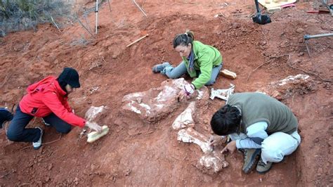 Fossil of 'first giant' dinosaur discovered in Argentina