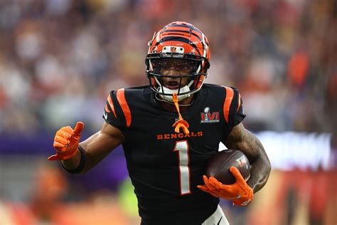 Cincinnati Bengals: Mythbusting narratives after Super Bowl trip