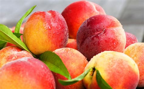 Fresh Peaches Fruit Wallpapers - 1920x1200 - 628295