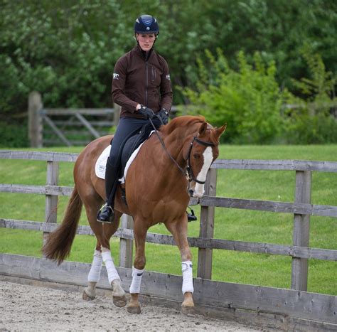 How does a horse trot? H&H's essential guide to the diagonal pace