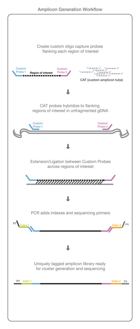 Amplicon Sequencing Solutions