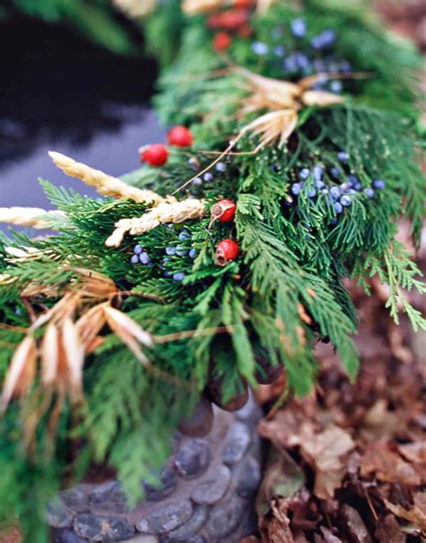 6 Plants for a Winter Cutting Garden