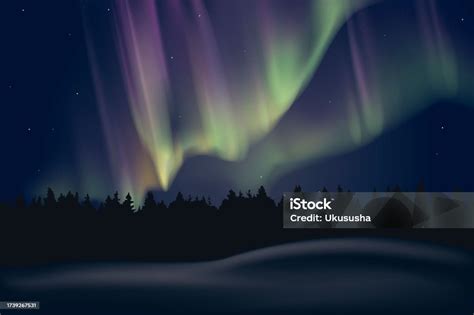 Aurora Borealis In Northern Night Stock Illustration - Download Image ...