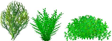 Free Green Bush Cliparts, Download Free Green Bush Cliparts png images, Free ClipArts on Clipart ...