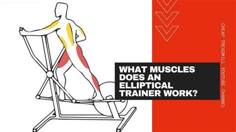 The Benefits of Elliptical Trainers: What Muscles Does an Elliptical ...