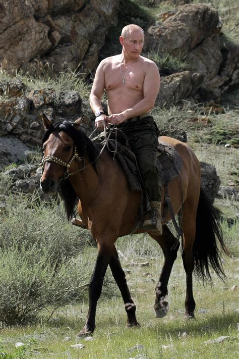 World Photo Caption Contest: Shirtless Vladimir Putin On A Horse | HuffPost