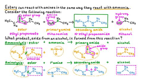 Question Video: Determining the Structure of the Reaction of an Amine with an Ester Given Their ...