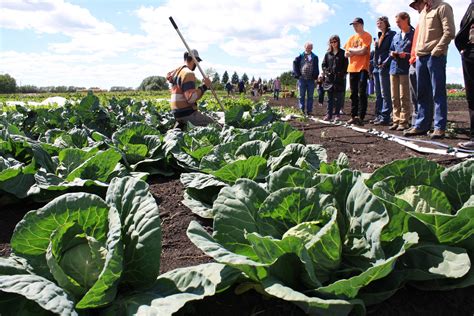 How To Start Farming In Alberta - Young Agrarians