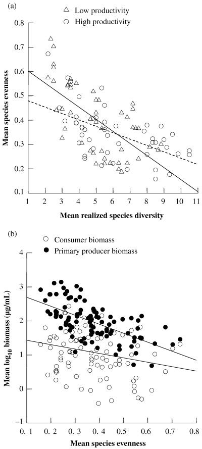 The relationship between time-averaged species evenness and realized ...