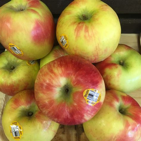 Pacific Rose Apples | Organic Apples | San Diego Fruit Delivery