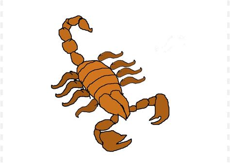 Scorpion Animation Clip Art, PNG, 800x600px, Scorpion, Animal Figure, Animation, Artwork ...