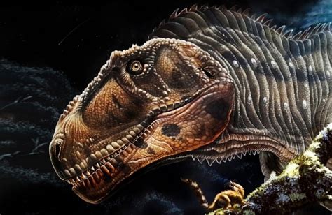 Meraxes Gigas Dinosaur Provides Insight Into Why Many Prehistoric Meat-Eaters Had Tiny Arms ...