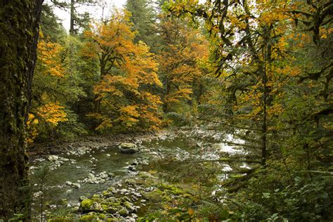 North Santiam River, Oregon | Elkhorn Recreation Area in Fal… | Flickr