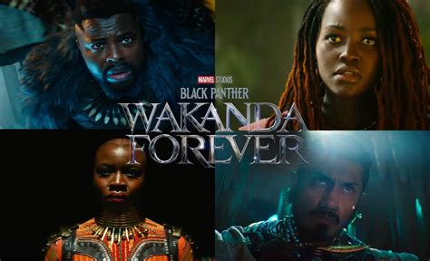 Wakanda Forever - NigheanAarib