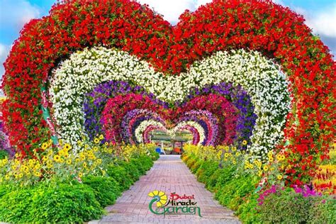 Love it - Reviews, Photos - Dubai Miracle Garden - Tripadvisor