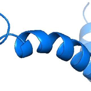 Solution structure of the Alzheimer's disease Aβ-peptide. | Download Scientific Diagram