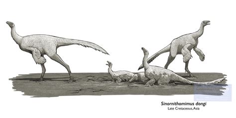 Sinornithomimus | Prehistoric Wiki | Fandom